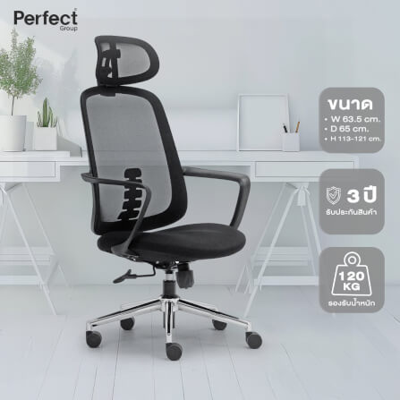 เก้าอี้ทำงานเพื่อสุขภาพ Perfect DRAGONFLY SERIES  รุ่น 501 สีดำ ตัวสูง_7